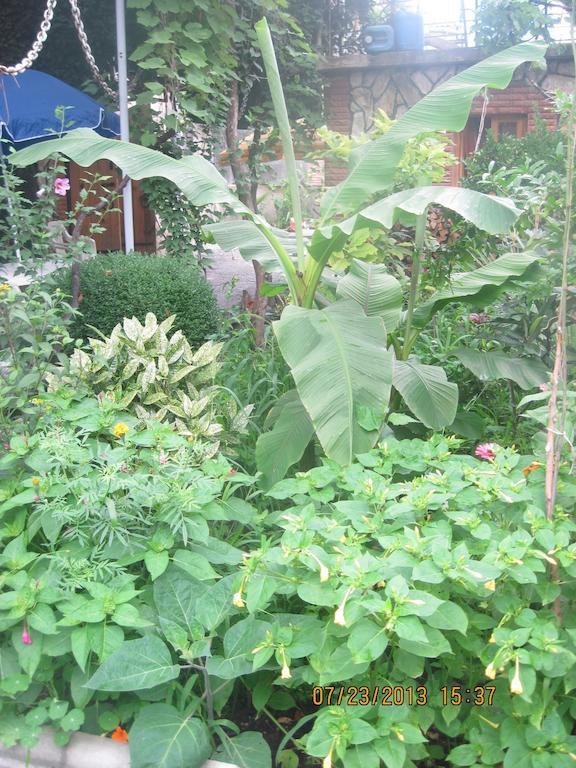 Tamar Guest House Gori Luaran gambar